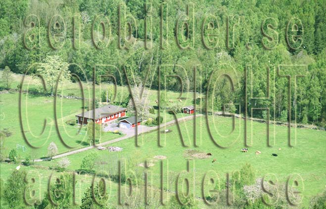 FFF 03008, #31. FFF 03008_0031 (Uppges vid kontakt med Svenska Aero-Bilder AB)